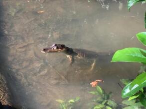 Cabañas Valeska, фото 19