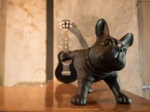 Bed Attitude Hostel Cenang - Hostel, фото 19