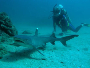 Jinete De Osa, фото 26 Jinete De Osa, фото 26