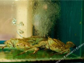 BJ Garden, фото 19