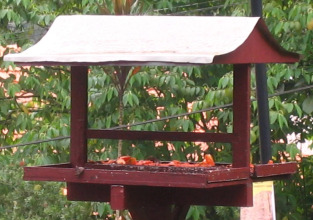 Shahzan Inn, фото 39 Shahzan Inn, фото 39