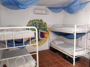 Haven Vietnam, фото 7 Haven Vietnam, фото 7