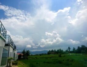 District Eight, фото 9