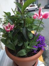 The White Swan Suites Beyoglu, фото 18