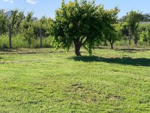 Complejo Las Marias, фото 10 Complejo Las Marias, фото 10