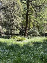 Lochiel Luxury Accommodation, фото 24 Lochiel Luxury Accommodation, фото 24