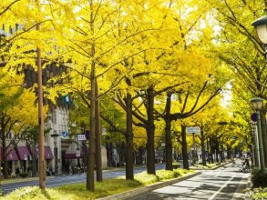 Nikko, фото 42