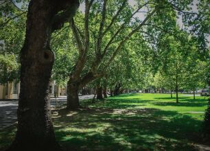 Homely Kings Park Apartment, фото 4
