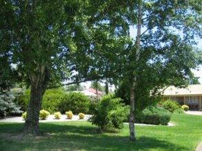 Highlands Motor Inn, фото 34