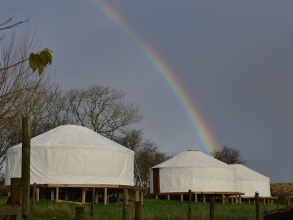 Kids Love Yurts Caravan Park, фото 3