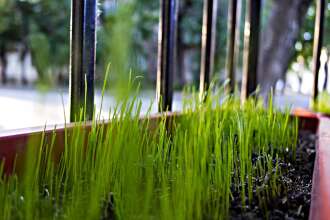 Day & Night, фото 7 Day & Night, фото 7