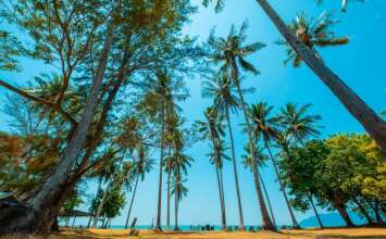 The Coconut Beach Villa, фото 3