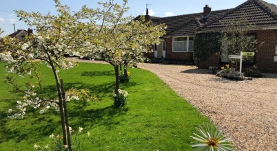 Primrose Lodge B&B, фото 25