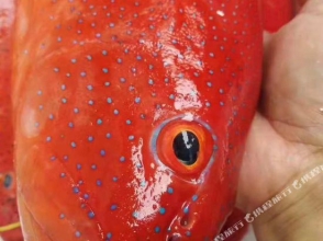 Xinhai Holiday Business Hotel, фото 20