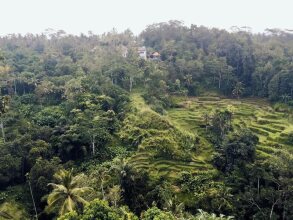 Ubud Green View Villas, фото 33