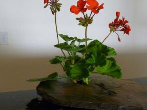 Doyles Of Perth Bed And Breakfast, фото 25