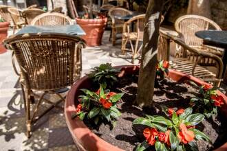 Dar Camelia, фото 20 Dar Camelia, фото 20