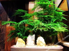 Huaqile Hostel, фото 9 Huaqile Hostel, фото 9