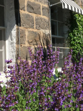 Elephant Bridge Hotel, фото 7