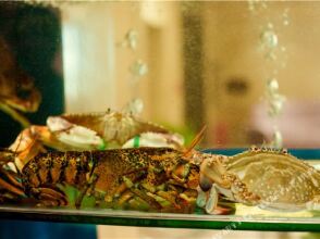 BJ Garden, фото 10