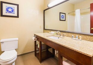 Comfort Inn & Suites, фото 40