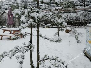 Chanxin Chanyue Hostel