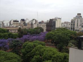 Design Ce, фото 12 Design Ce, фото 12