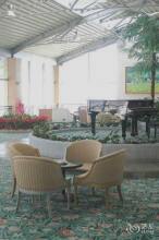 Sky-line, фото 9