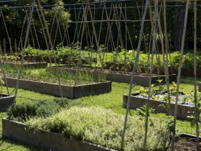 Hermitage Hotel & Resort, фото 39