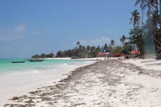 Casa Umoja Guesthouse, фото 31 Casa Umoja Guesthouse, фото 31