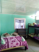 Cabinasyafethosa caletas, фото 4