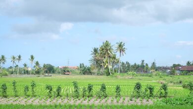 NamaStay Hostel, фото 11