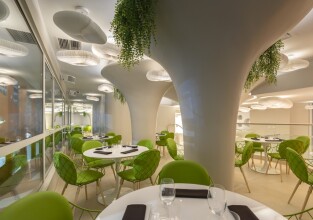 Director El Golf, фото 19 Director El Golf, фото 19