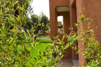 Oasis Lodges, фото 7 Oasis Lodges, фото 7