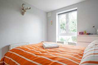 Spacious 1 Bedroom Apartment Near The Triangle, фото 5