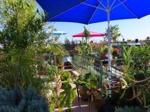 Riad Cherihane, фото 17 Riad Cherihane, фото 17