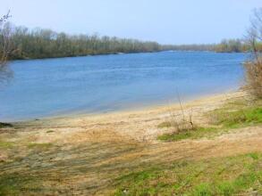 Green Style, фото 29