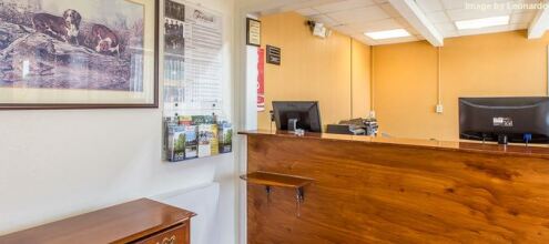 Econo Lodge Thomasville, фото 9 Econo Lodge Thomasville, фото 9