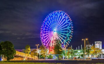 Daiwa Roynet Hotel Tokyo Ariake, фото 30