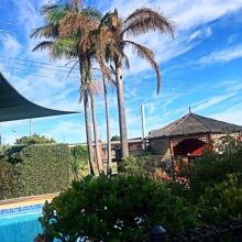 Black Swan Motor Inn, фото 21 Black Swan Motor Inn, фото 21