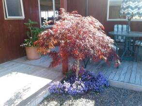 Kauri Lodge Karapiro, фото 8