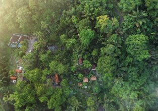 Bali Jungle Huts, фото 31