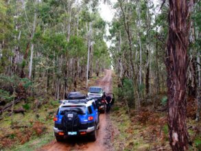 Highlands Motor Inn, фото 14