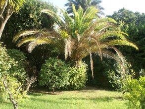 Elegant 18th Century Villa in Cannes With Private Pool and Seaview, фото 18