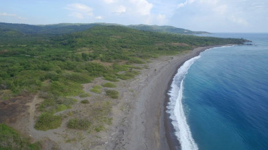 Green Castle Estate, фото 36