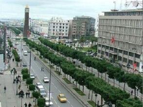 Carlton, фото 46 Carlton, фото 46