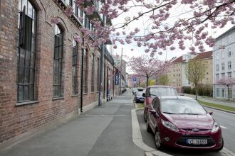 Central City Shared Apartments, фото 20