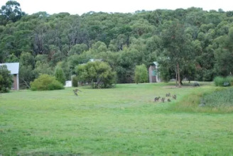 Bellbrae Harvest, фото 15