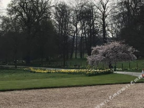 Madingley Hall - Bed & Breakfast, фото 29