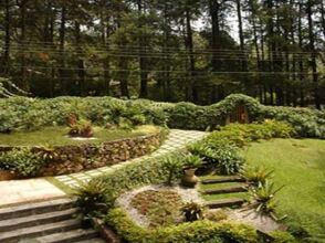 Bromélia Sabiá & Cia, фото 21 Bromélia Sabiá & Cia, фото 21